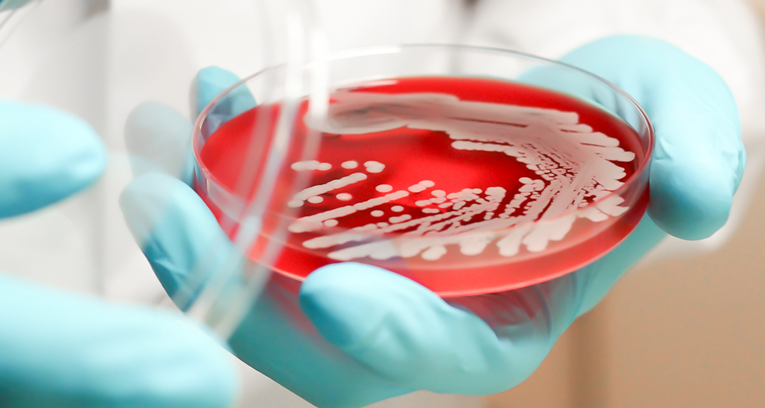 موجودات هوازی